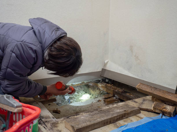 Best Biohazard Mold Removal  in Tawas City, MI
