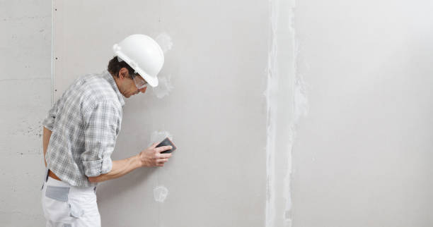 Best Mold Remediation for Healthcare Facilities  in Tawas City, MI