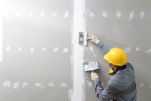 Best Dehumidification Services  in Tawas City, MI