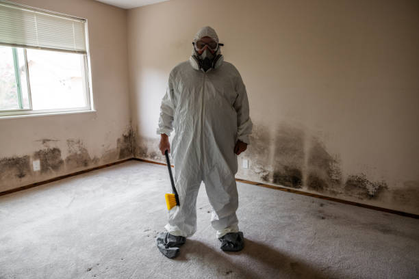 Best Post-Remediation Verification Testing  in Tawas City, MI